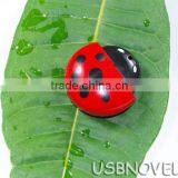 All in One Card Reader