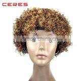 Hot Sales Top Quality Brazilian Afro Kinky Curly Human Hair Lace Front Wig on Sale thumbnail-4