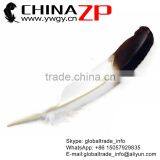 CHINAZP Wholesale Cheap Brown Half Dipped Bicolourable Turkey Feathers for Fashion Decorations thumbnail-1