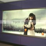 Wall mounted attractive advertisement poster