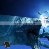 COCOPICO Manufaturer WIFI 31inch Throw Ratio Remote Control 120lumens Outdoor Projector