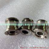Bolts Large Quantity in Store Titanium Chainring Bolts Titanium Chainring Bolts Wholesale