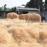 COCONUT FIBER with BEST PRICE from VIETNAM