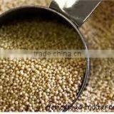AMARANTH GRAIN INDIA OROGIN thumbnail-1