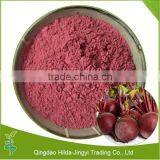 ISO & GMP Red Beet Root Extract Betanin thumbnail-1