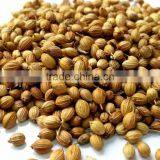 Premium Quality Coriander Seeds