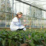 Brands Supplier Provide High Grade Agriculture Amino Acid Powder Fertilizer With Beautiful Package thumbnail-5