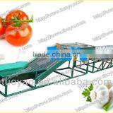 THOYU Brand Stainless Steel Fruit Grading Machine by Size(0086 15903677328)