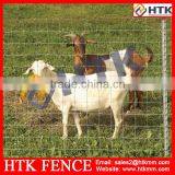 China Suppliers HTK Galvanised Hinge-lock Animal Fence thumbnail-2