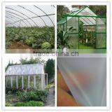Wholesale Fog Resistant Single Span Agricultural Greenhouse Film thumbnail-1