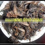 Dried Crickets Bird & Fish Pet Food thumbnail-5