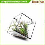 The Cube Shape Planter,geometric Glass Terrarium thumbnail-2