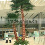 SJ12001117 Indoor Palm Tree Plant/outdoor Green Palm Plants/fan Palm Plant thumbnail-2