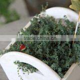 2017 Wooden Flower Pot Wooden Pot Wooden Design Garden Flower Pot thumbnail-3