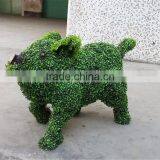 Artificial Grass Animal Shape Ornamental Plastic Animal Topiary With Wooden Package thumbnail-3