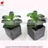 Hot Sell Cheap Wholesale Fake Mini Bonsai Potted,articial Bonsai Outdoor Decoration thumbnail-2