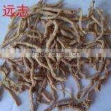 Natural Plant Herbs Polygala thumbnail-1