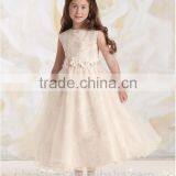 Newest Halter Lace Baby Gown Junior Dresses thumbnail-1
