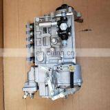 Shanghai C6121 Diesel Engine Fuel Injection Pump Longbeng P10Z010 BH6P110 thumbnail-3