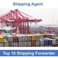 Air Freight Agent/forwarder China Shipping Consolidator to Canada Australia Amazon thumbnail-4