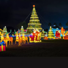 Chinese Traditional Handmade Festival Lantern Zigong Decorative Colorful Lantern Festival Show thumbnail-1