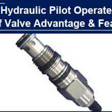 AAK Hydraulic Pilot operated Relief Valve with 1 Advantage and 1 Feature, helped Caleb win the first order