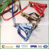 China wholesale various styles of dog training leash