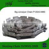 Pitch 150mm Conveyor Roller Chain With A2 Attachments Every Link One Side. Use for Mesh Belt Conveyor Machine thumbnail-3