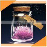 Wishing Bottle Glass thumbnail-1