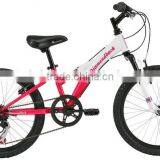 2015 Mtb Bike/ Mountain Bicycle/mountain Bike (PW4-M20102) thumbnail-3