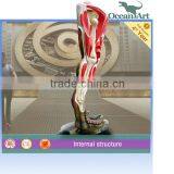 New Style! New Arrival! Fiber Glass Specimen That is the Leg of the Dinosaur, You Will Know the Dinosaur Very Well thumbnail-6