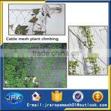 Artificial Stainless Steel Vertical Cable Mesh Plants Climbing