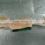 Illex Squid W/R thumbnail-6