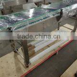 Belt Conveyor System for Packaging Line thumbnail-4
