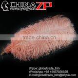 ZPDECOR Trade Assurance Leading Supplier Wholesale Size From 50-55cm Cheap Dyed Champagne Ostrich Feather thumbnail-1