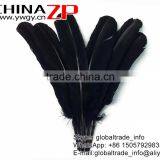 ZPDECOR Top Selling Plume in Stock Dyed Black Solid Color Turkey Feathers Decorations thumbnail-2