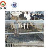 ISO9001 approved factory EVA dairy mat stable mat