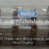 10000 Gauss Magnet/neodymium Magnet N52/industrial Magnet