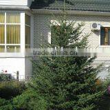 Exterior Wall Cladding thumbnail-1