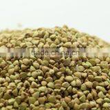 Chinese Buckwheat Kernel ,husks thumbnail-3