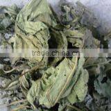 Mulberry Leaf Natural Herbal Tea thumbnail-3