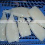 Frozen Squid Fillet thumbnail-2