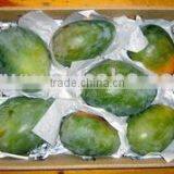 Bulk Quantity Egypt Mango thumbnail-1