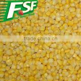Chinese frozen sweet corn with HACCP