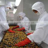 Hebei Liyuan Food Co., Ltd. company overview - view 2 thumbnail