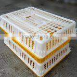 Plastic Poultry Chicken Cage Transport Cage for Chicken thumbnail-1