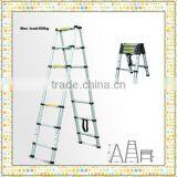 2012 Hot Sale Aluminum Telescopic Ladder
