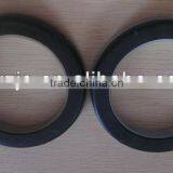 Bearing With Plastic Ring for Shock Absorber
