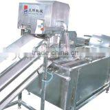 TW-307L Hot Sale Vegetable Washing Machine/ Fruit Washer/Vegetable Cleaning Machine thumbnail-3