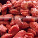 New Condition and Dehydrator Type Tomato Drying Machine thumbnail-1